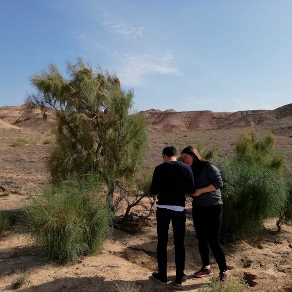 Полевое дешифрирование саксаулов