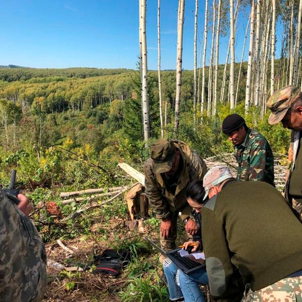 Полевое дешифрирование