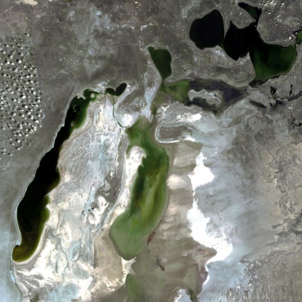 Аральское море. KazEOSat-2. 2016 год